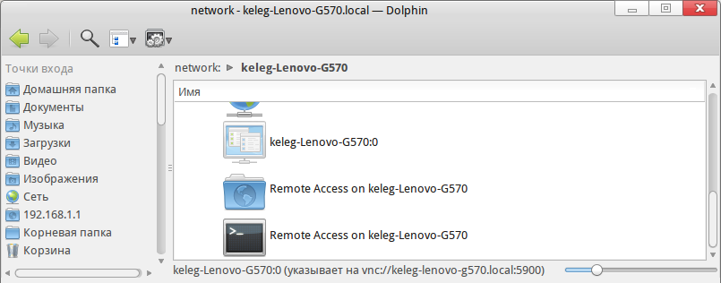 Dolphin-remote-access.png