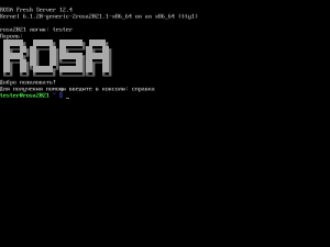 ROSA-12.4-server-tty.png